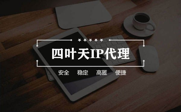 【鄢陵代理IP】如何快速搭建代理IP？怎么检查代理的效果？